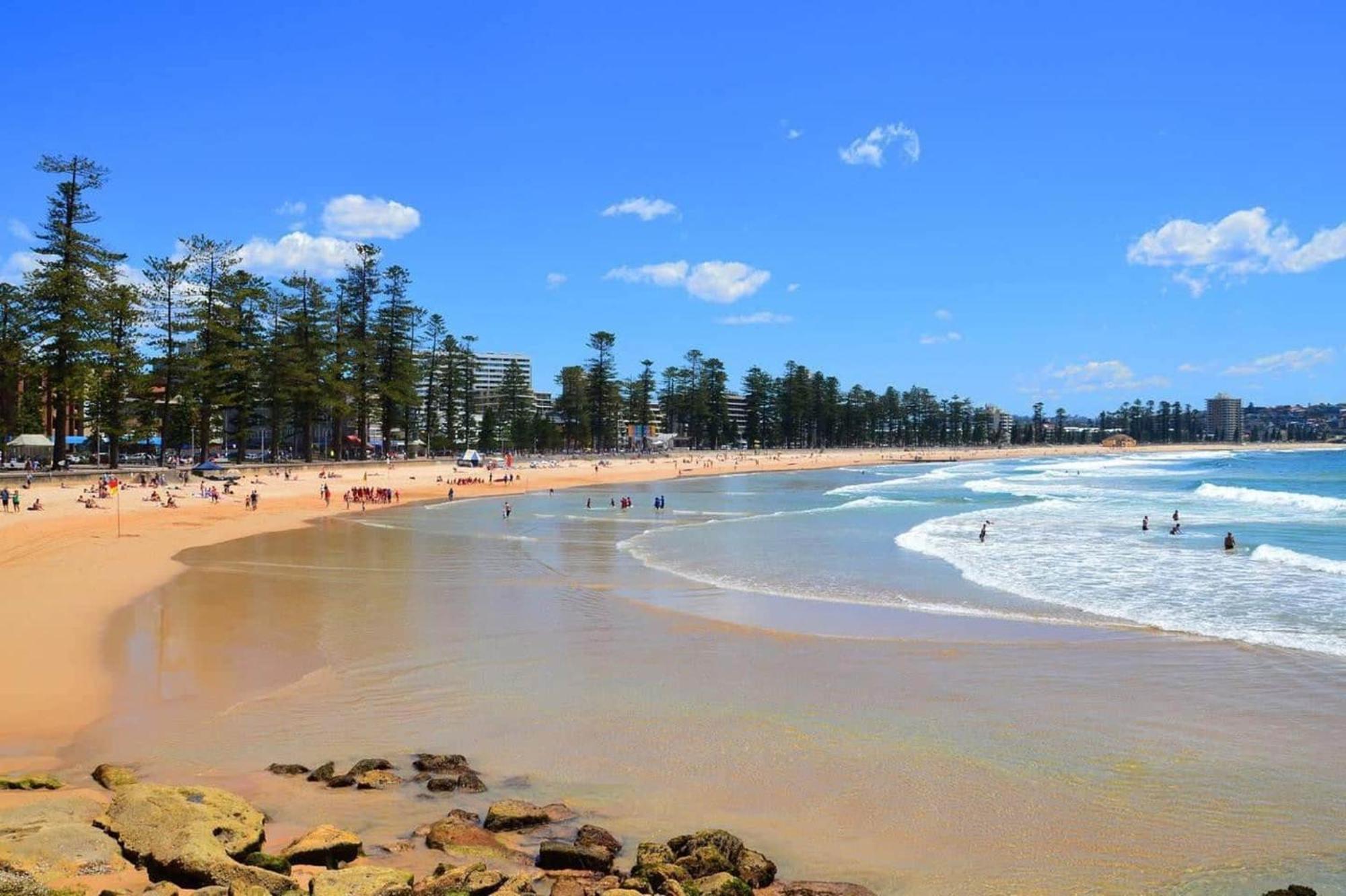 Stunning Ocean Views With Manly At Your Doorstep Lejlighed Sydney Eksteriør billede